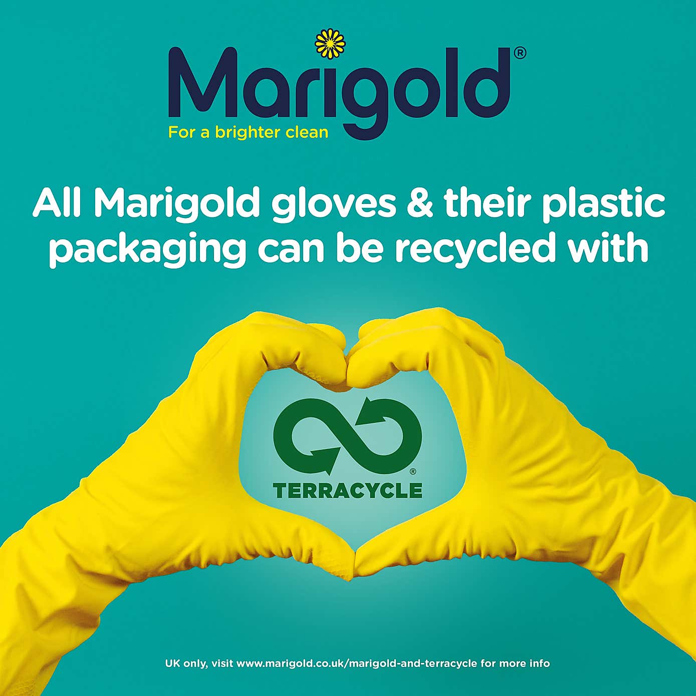 Marigold Pack of 40 Disposable Gloves
