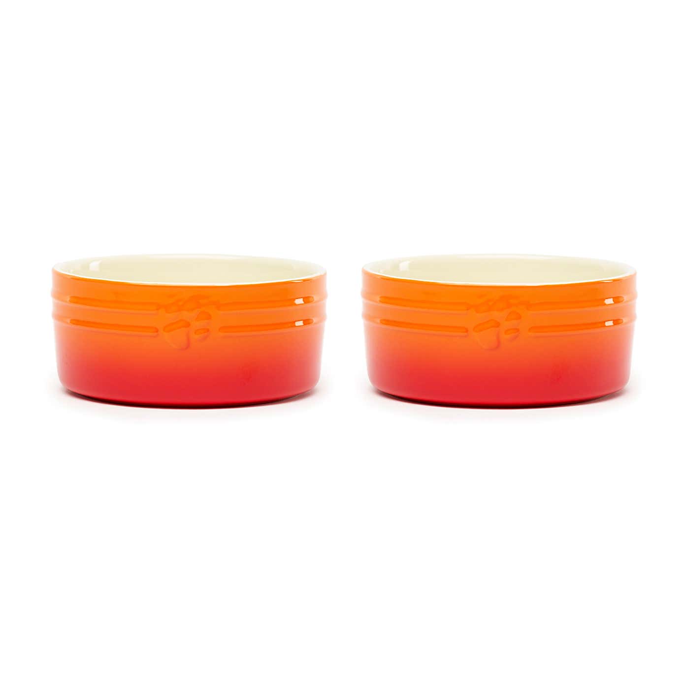 Set of 2 Scruffs Ombre Bowls