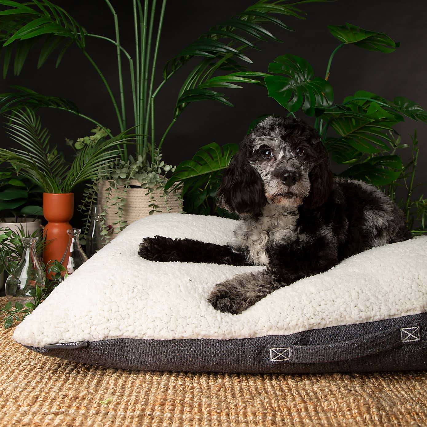 Scruffs 100% Recycled Eden Dog Pillow