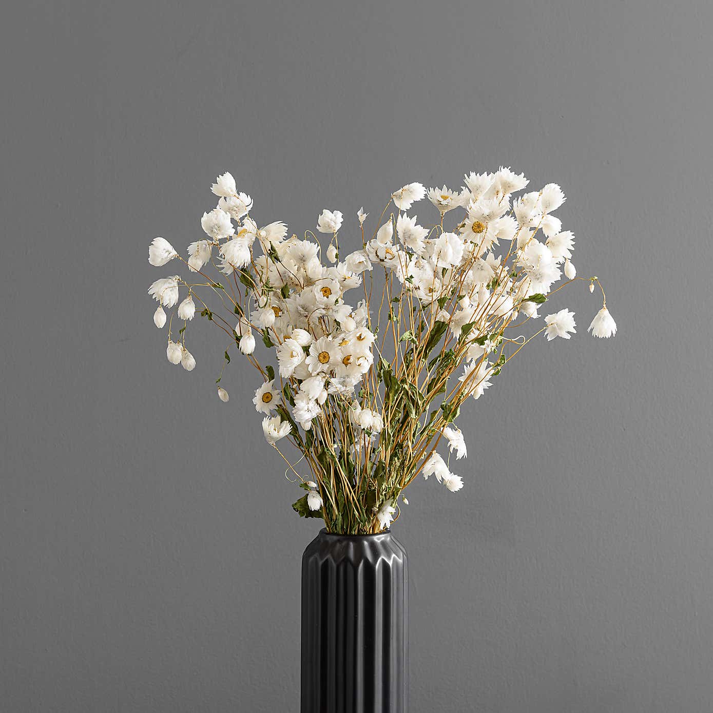 Dried White Rhodanthe Bouquet