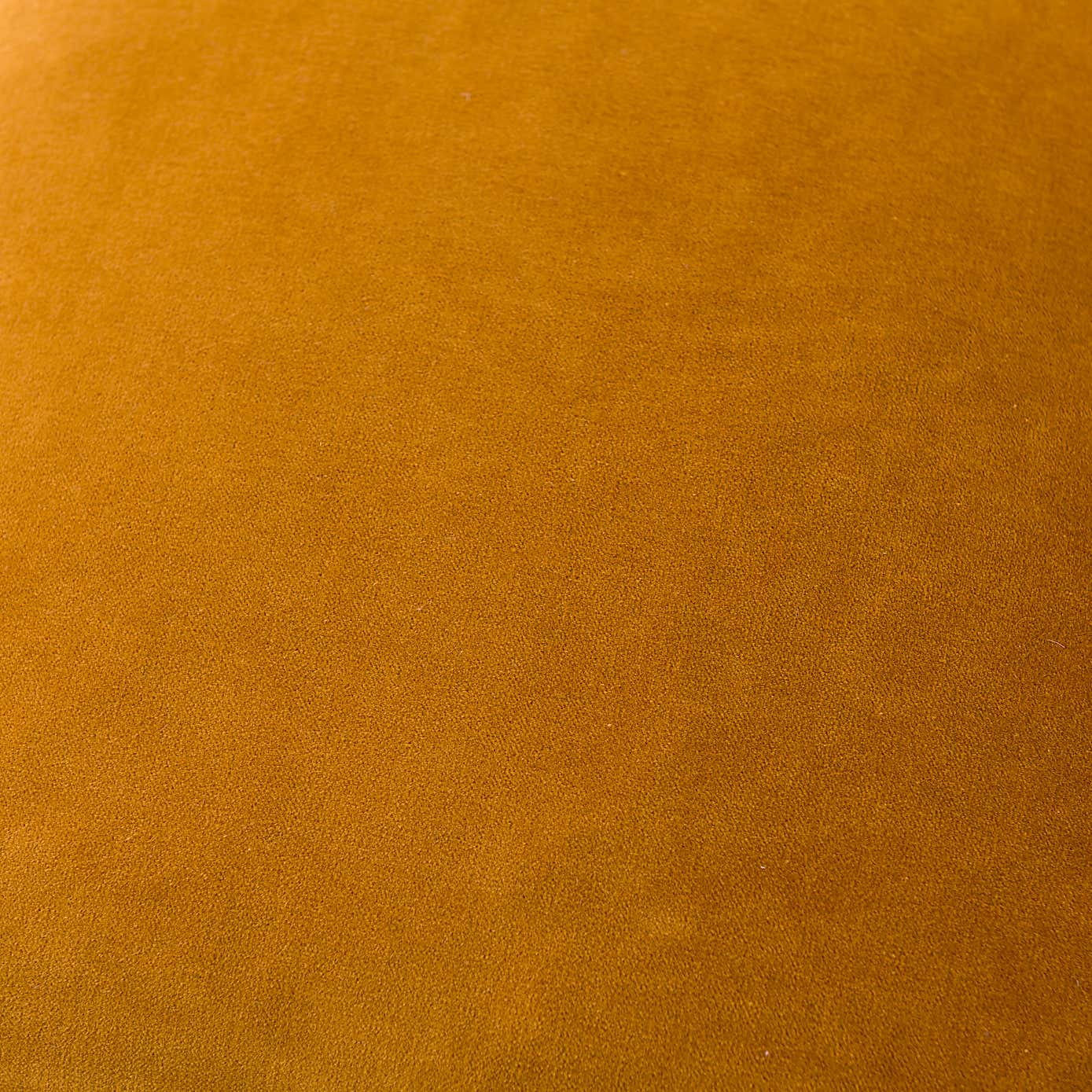 Clara Cotton Velvet Cushion