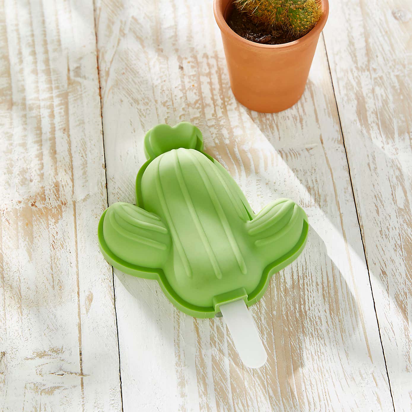 Cactus Ice Lolly Mould