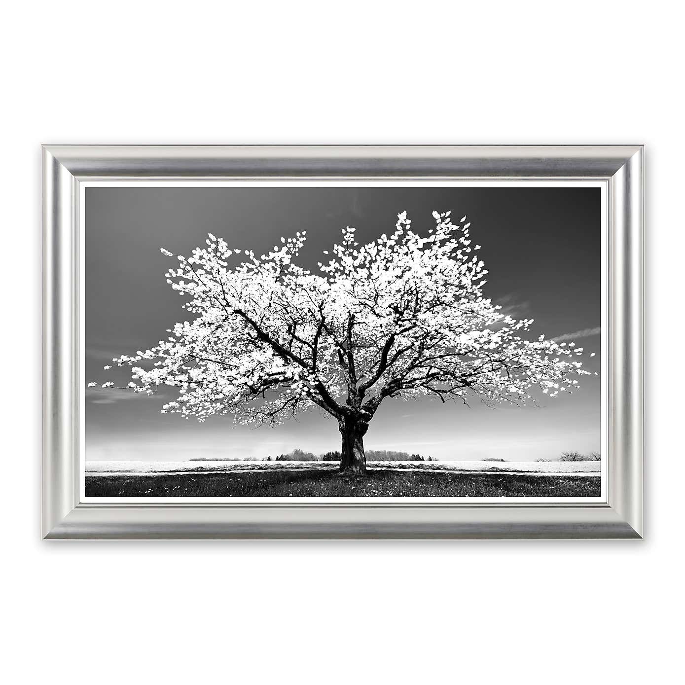 Blossom Tree White by Peter Wey Framed Print