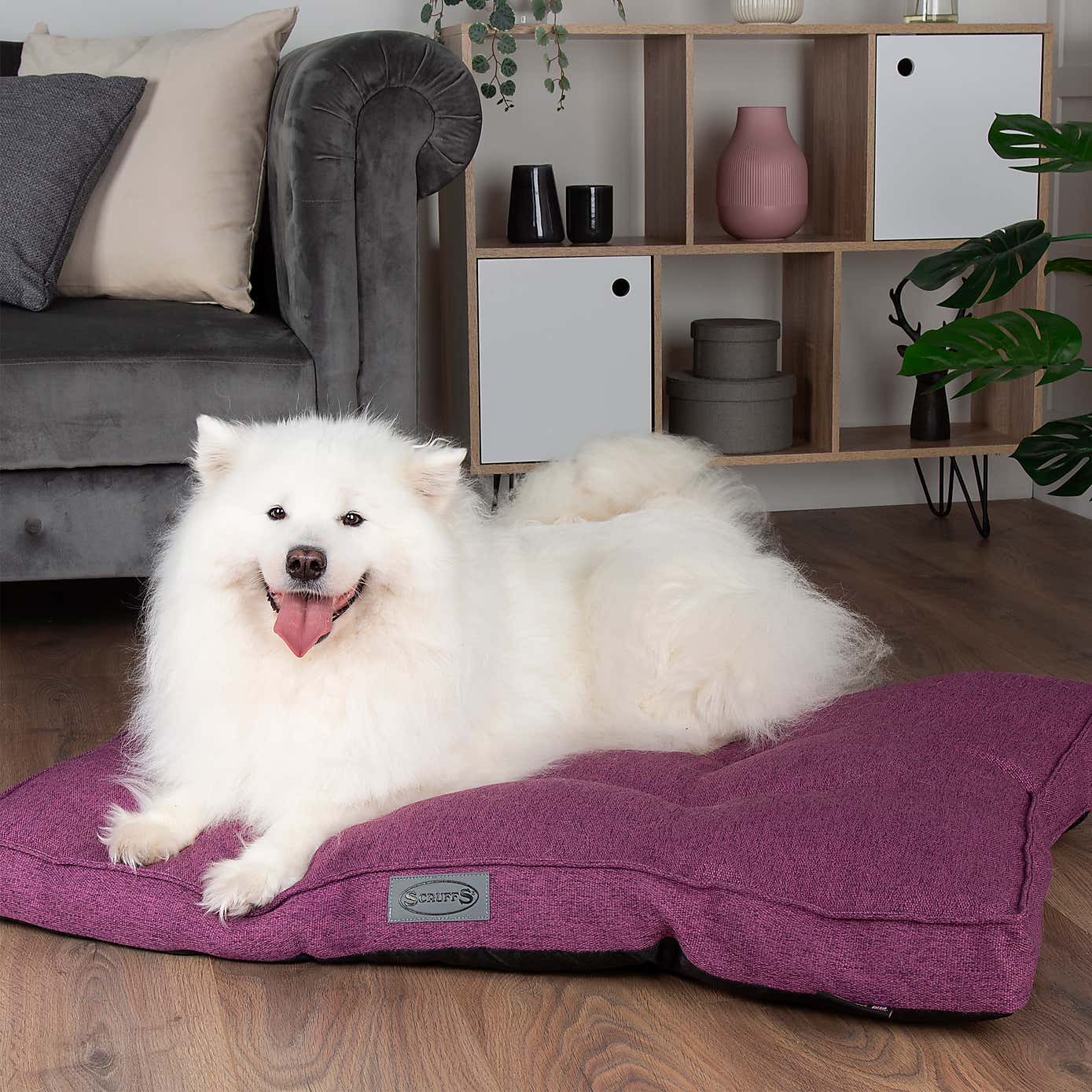 Scruffs Manhattan Mattress Pet Bed