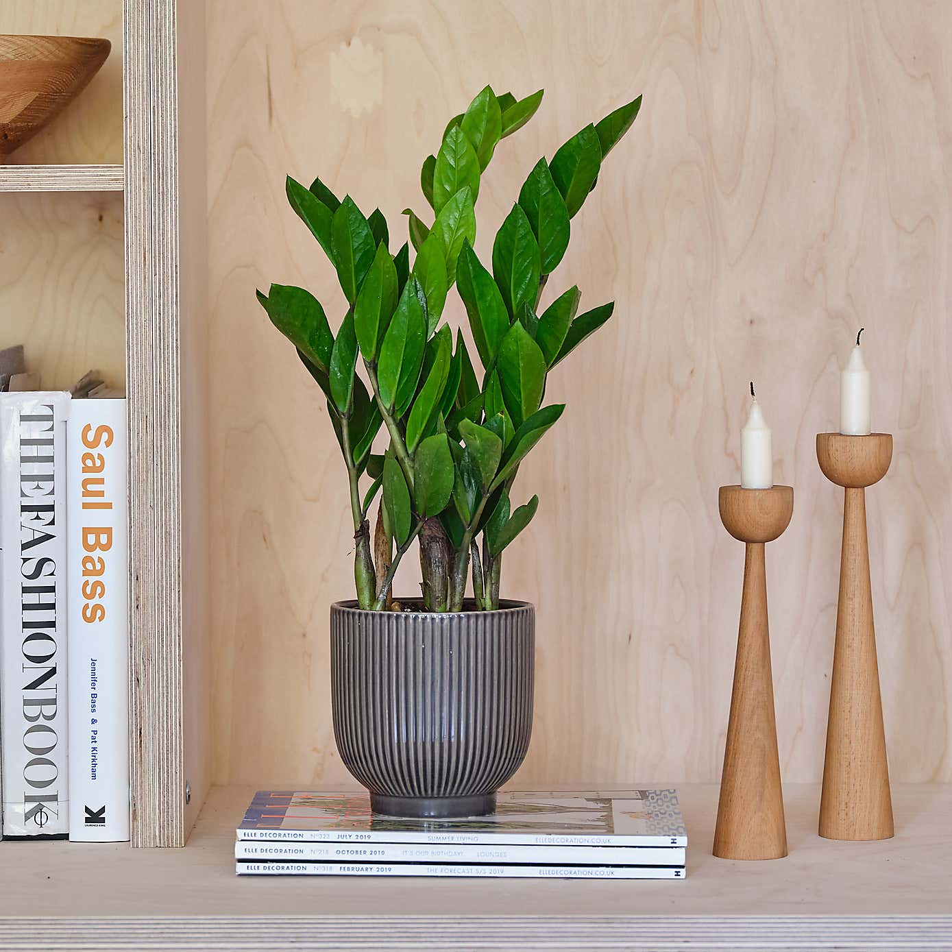 Beards and Daisies Ribbed Ceramic Plant Pot