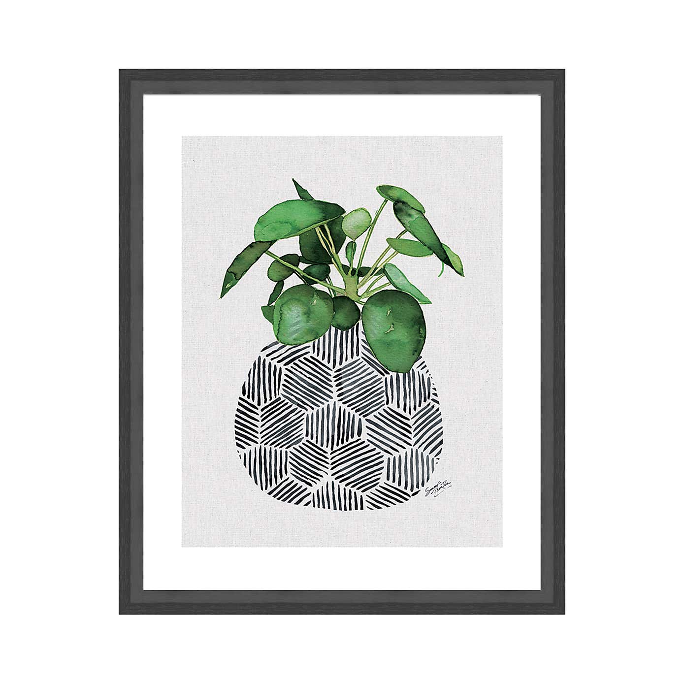 The Art Group Chinese Money Plant Framed Print