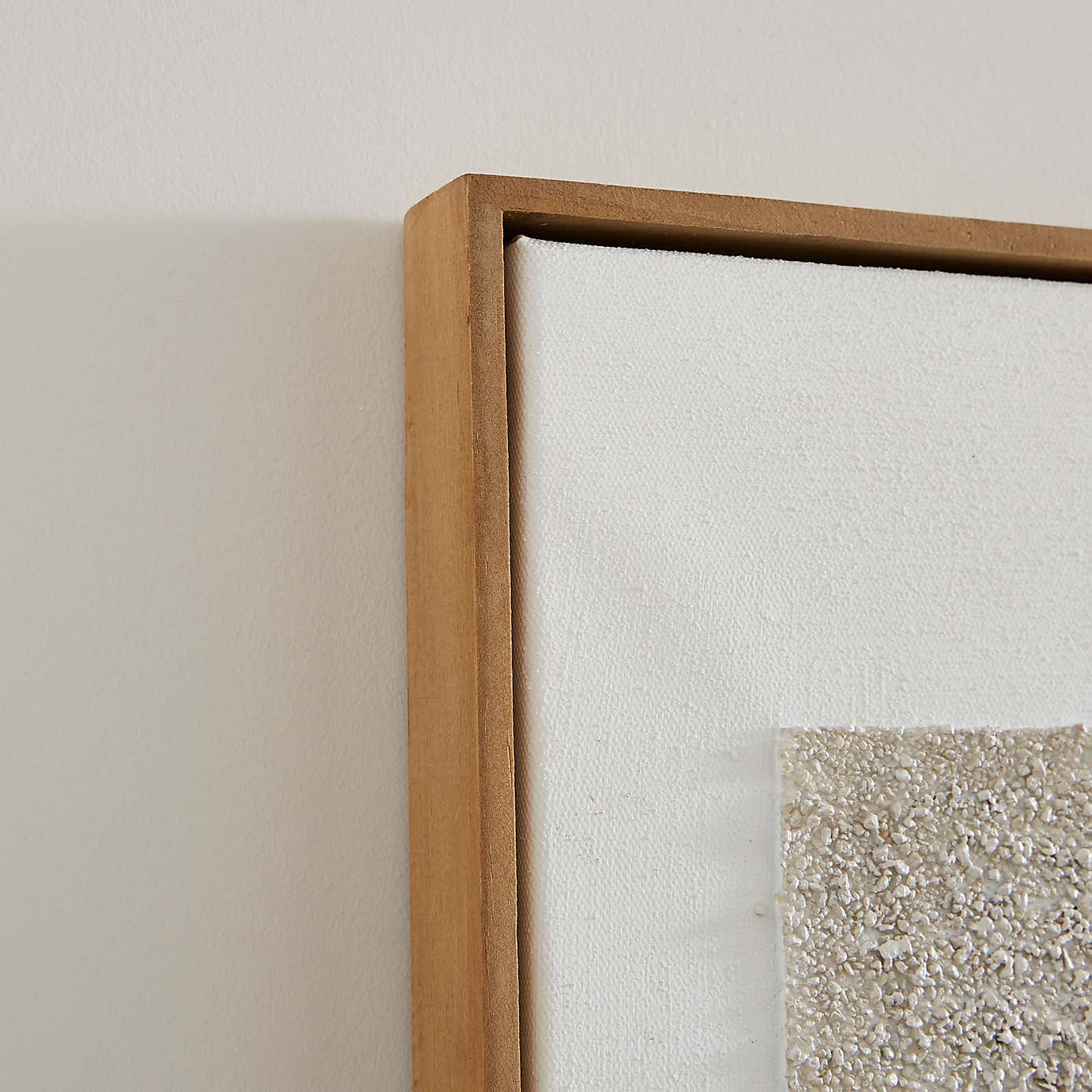 Set of 2 Textured Framed Canvases