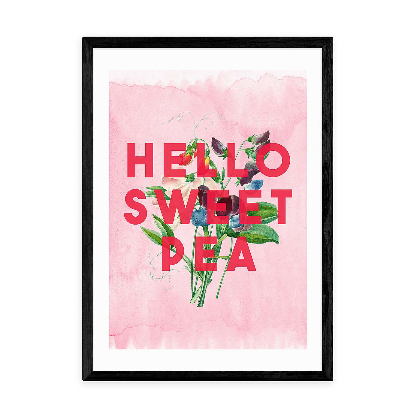 East End Prints Hello Sweet Pea Print by The 13 Prints