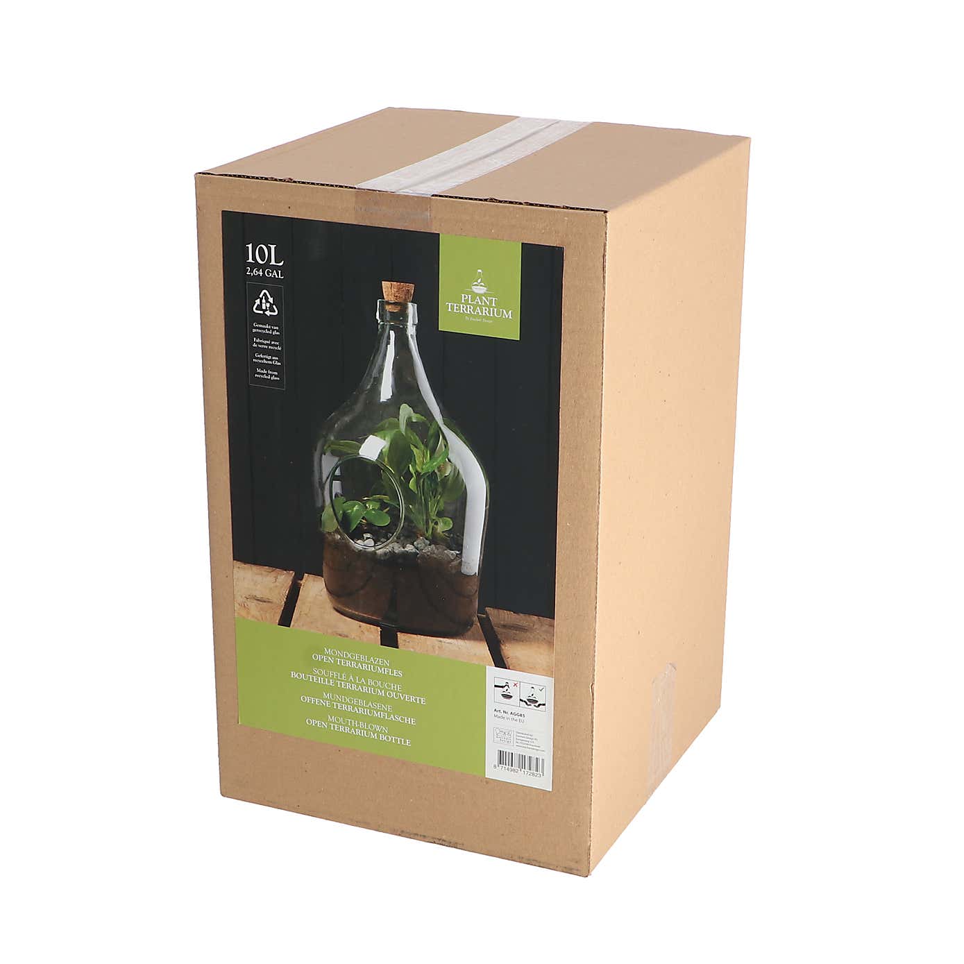 Fallen Fruits 10 Litre Open Terrarium