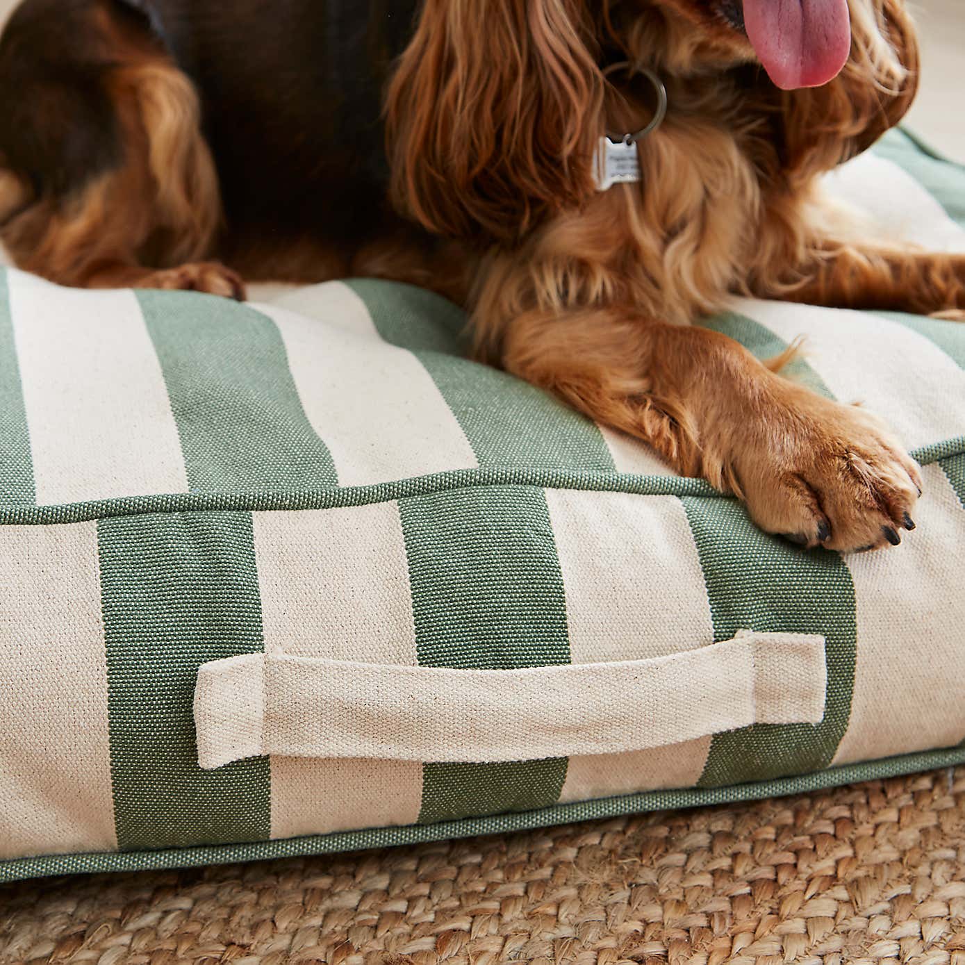 Beatrice Stripe Mattress Pet Bed