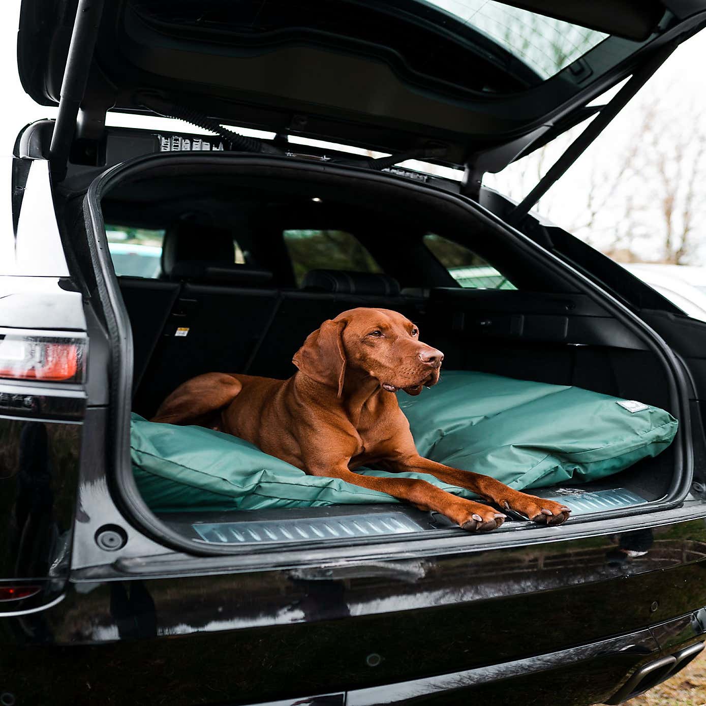 Danish Design County Deep Filled Dog Duvet