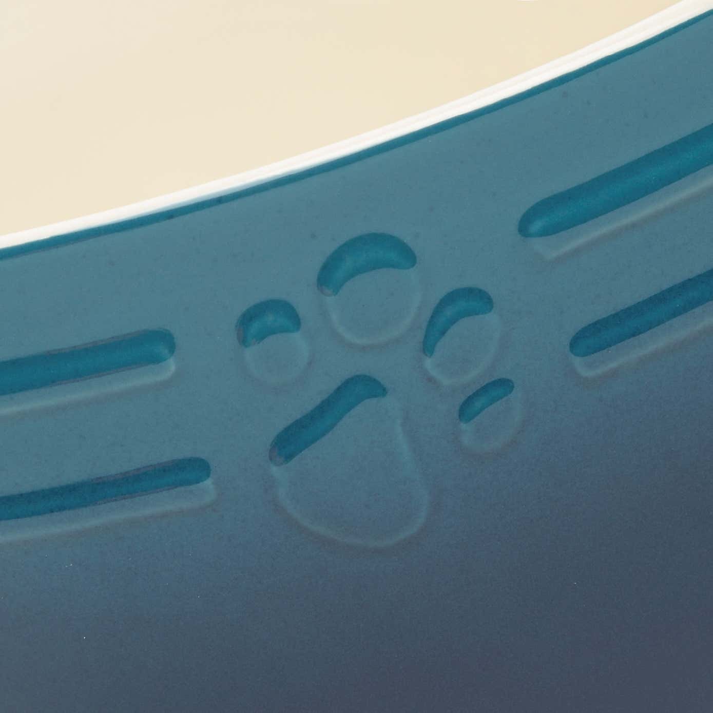 Set of 2 Scruffs Ombre Bowls