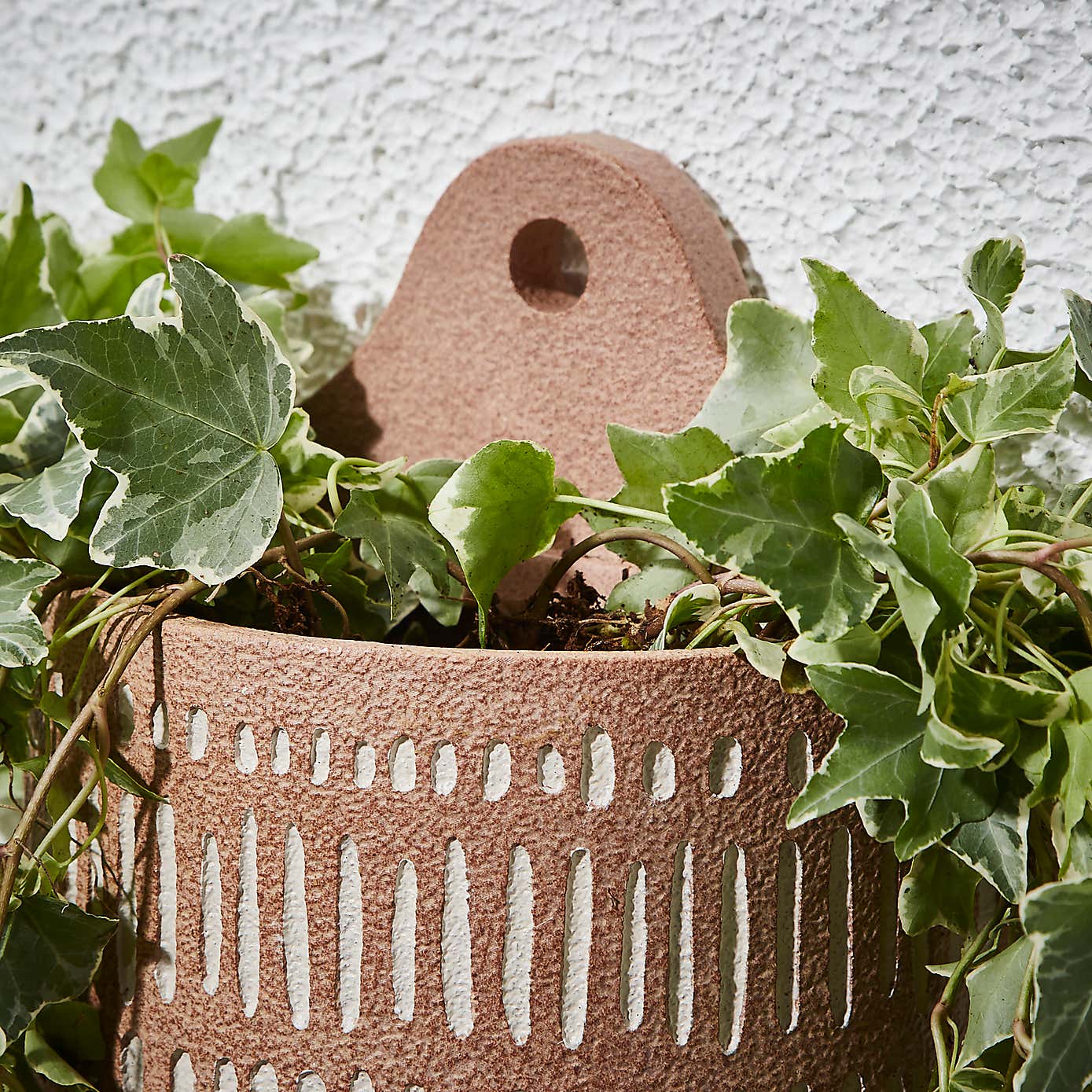 Terracotta Wall Plant Pot