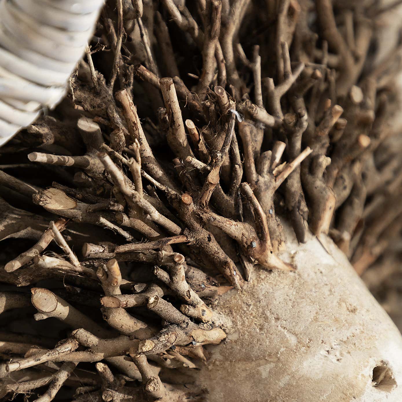 Voyage Maison Betty Standing Ram Ornament