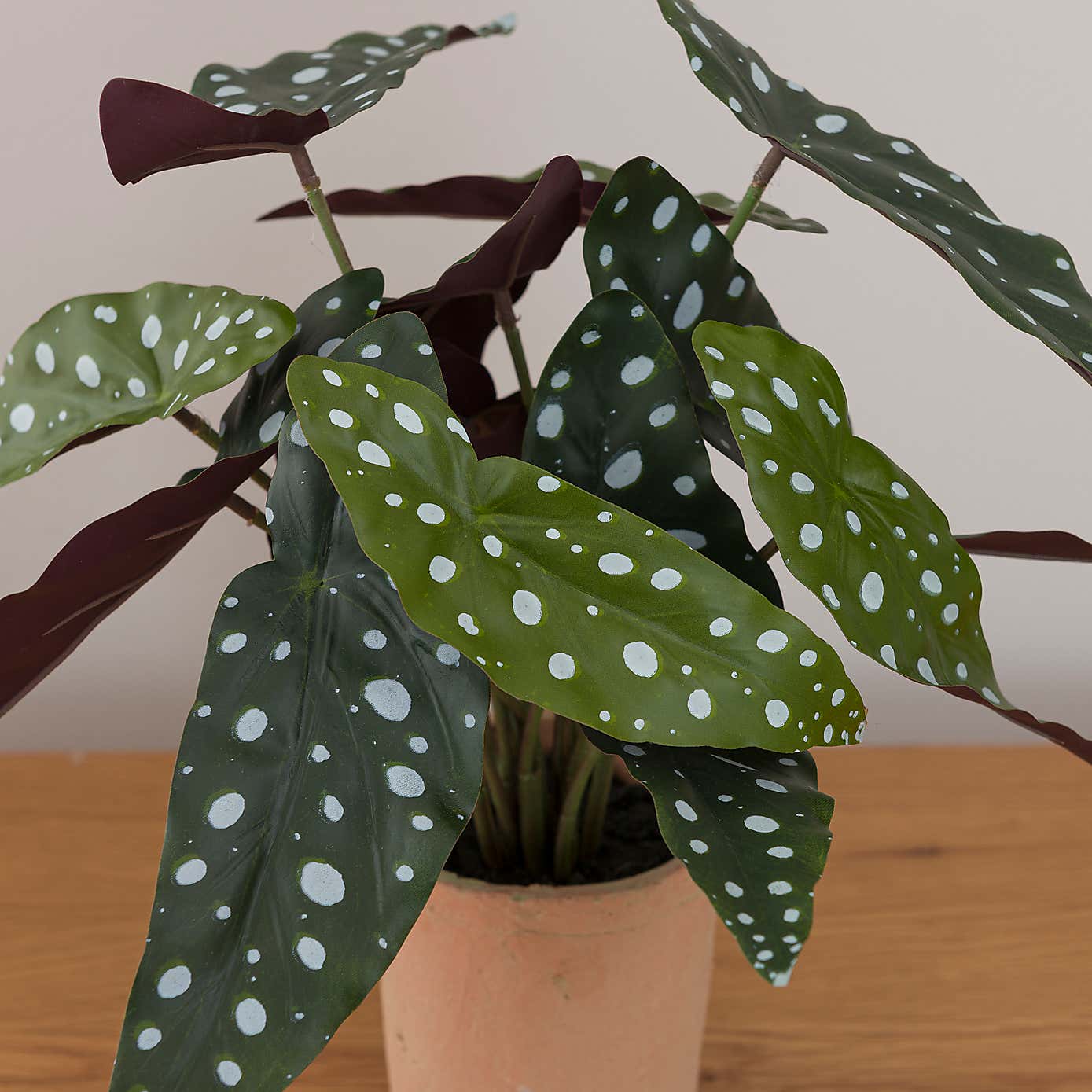 Artificial Polka Dot Begonia in Orange Cement Plant Pot