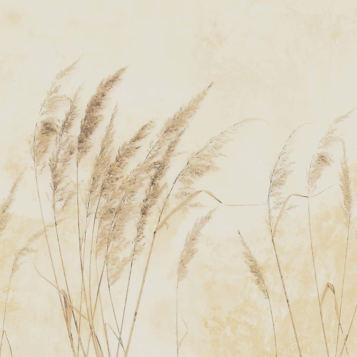 Pampas Grass Mural