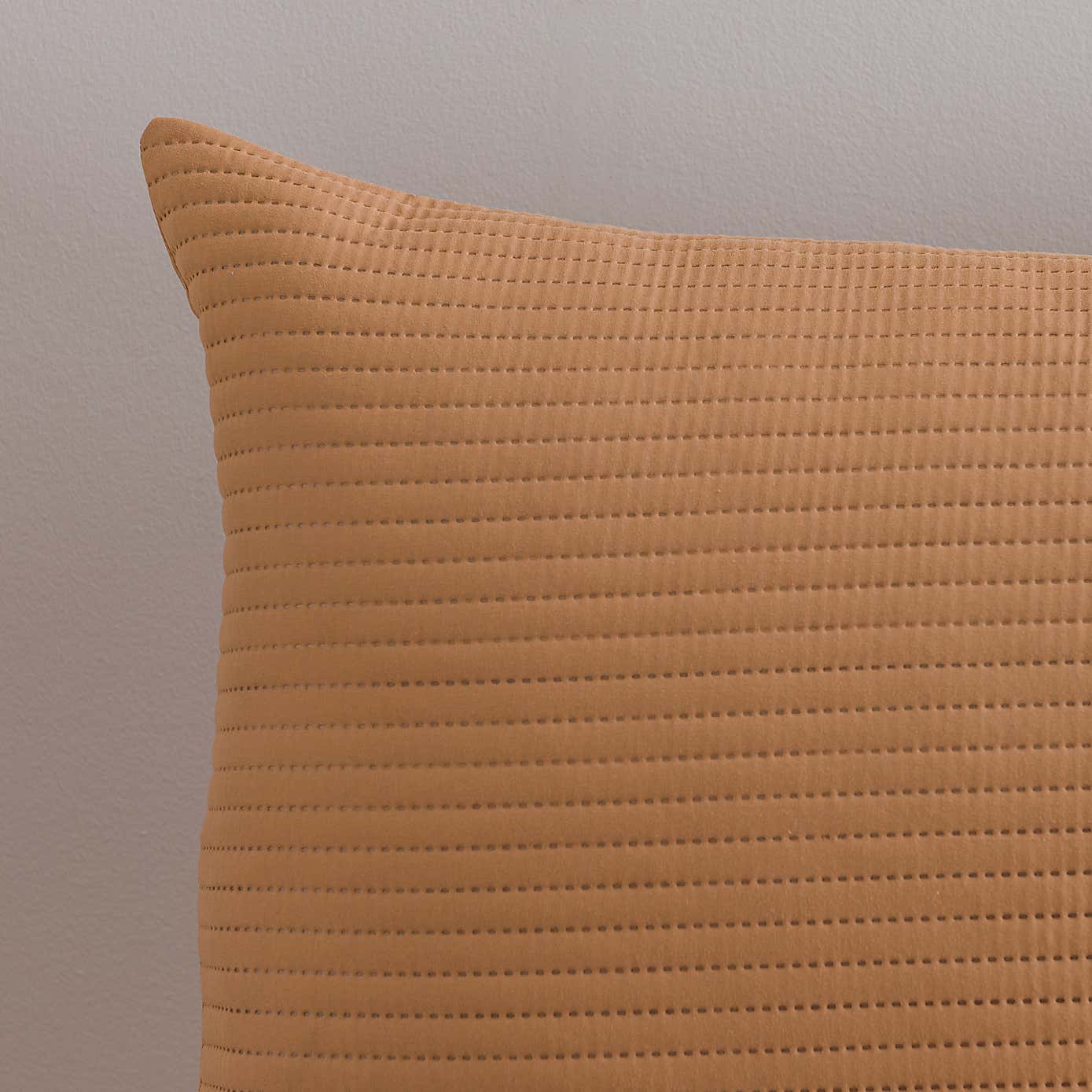 Spencer Pinsonic Pillowsham