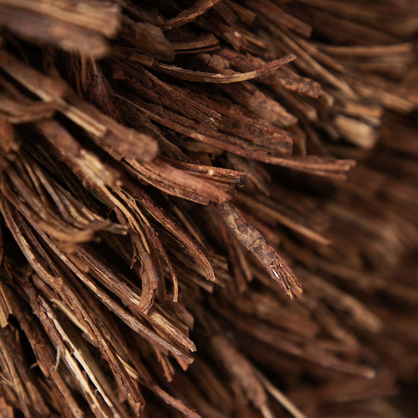 Voyage Maison Stirling Standing Stag Ornament