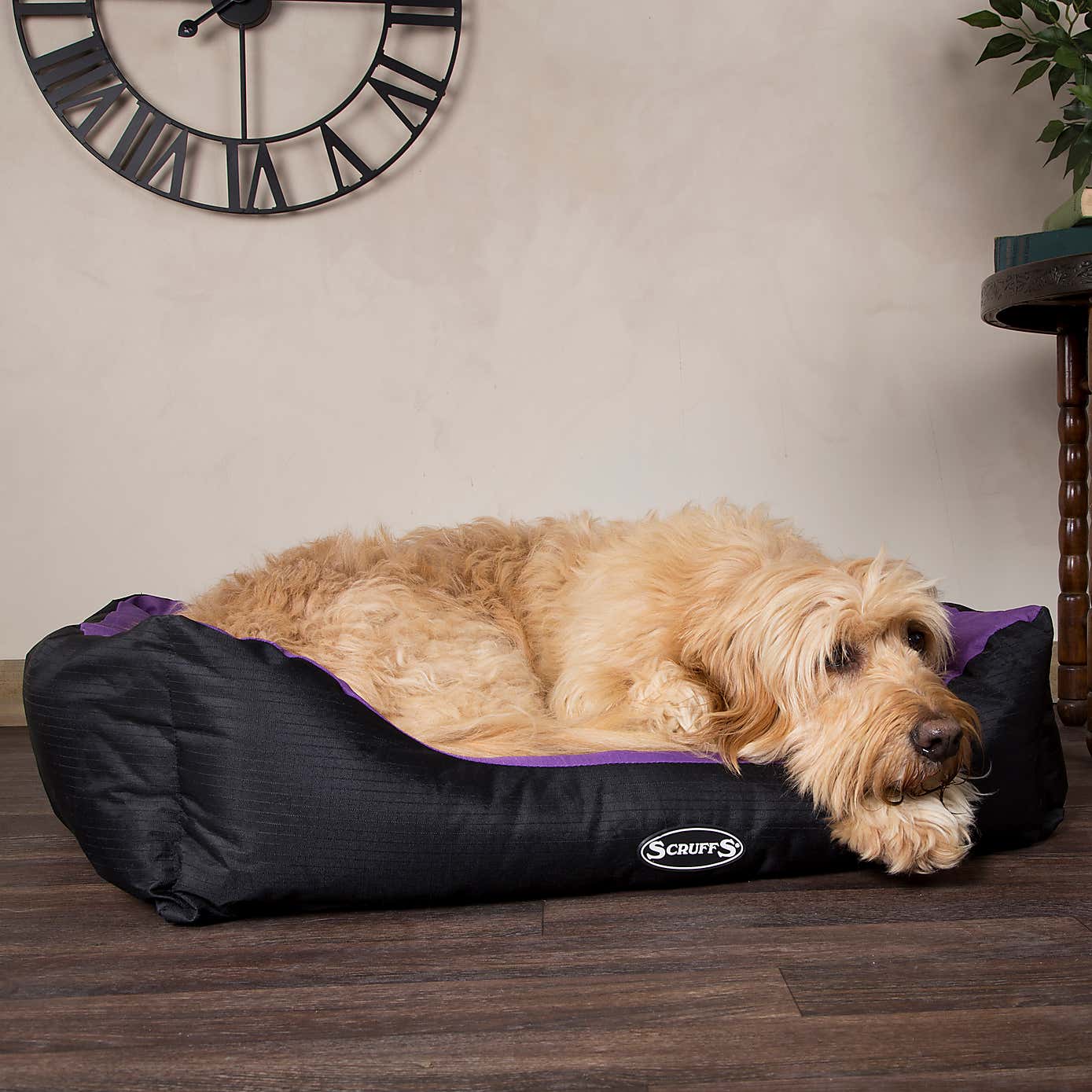 Scruffs Pet Expedition Box Bed