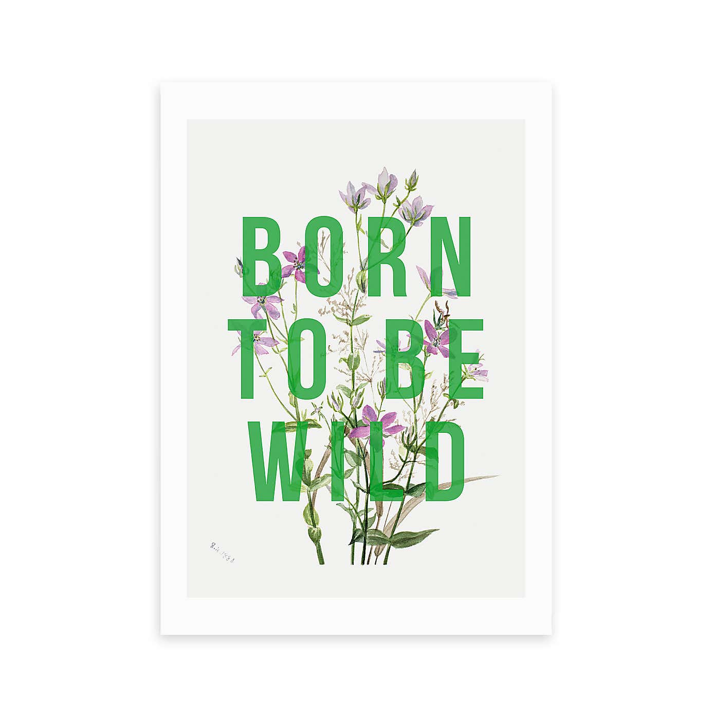 East End Prints Born To Be Wild Framed Print