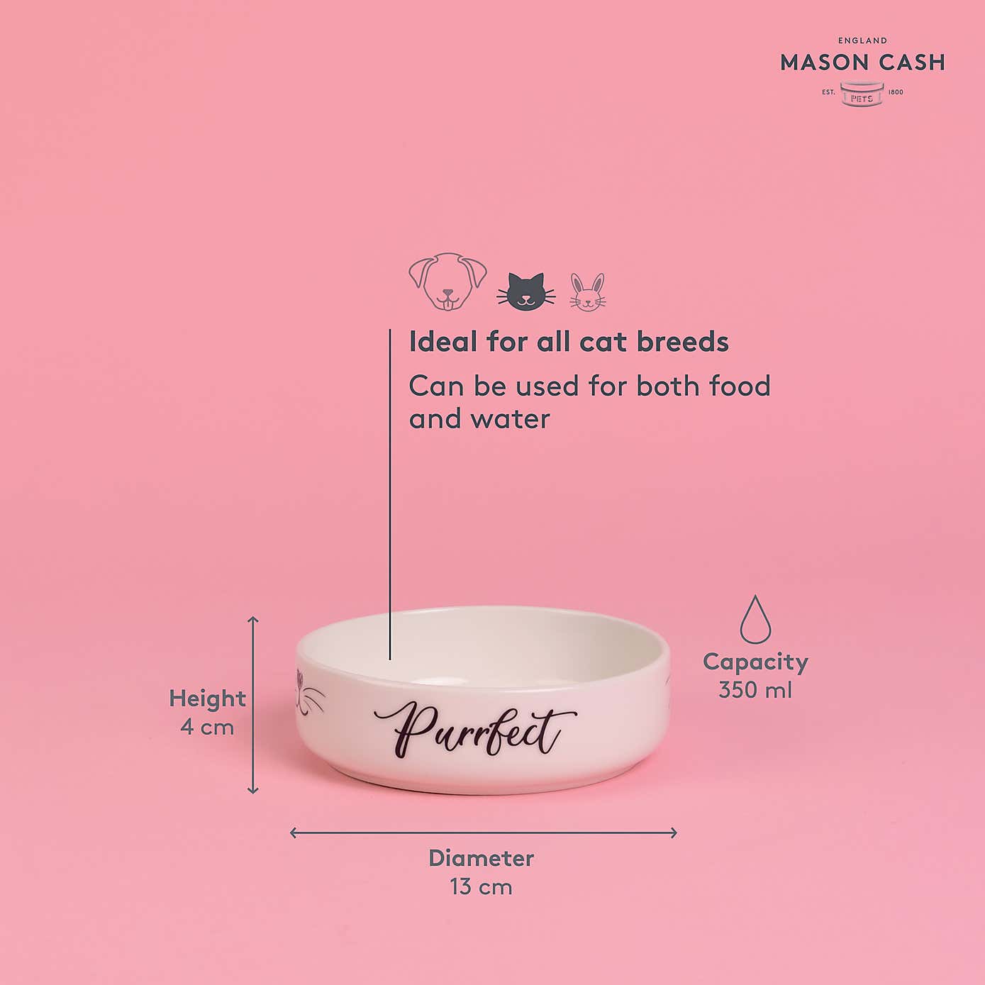 Set of 2 Purrfect Cat Bowls