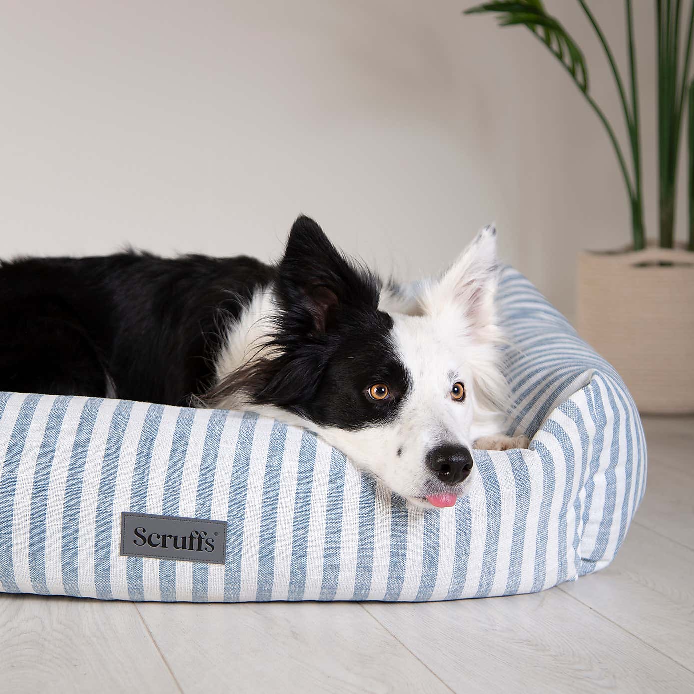 Scruffs Luxury Coastal Pet Box Bed