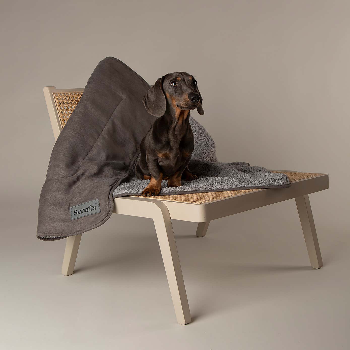 Scruffs Cosy Dog Blanket