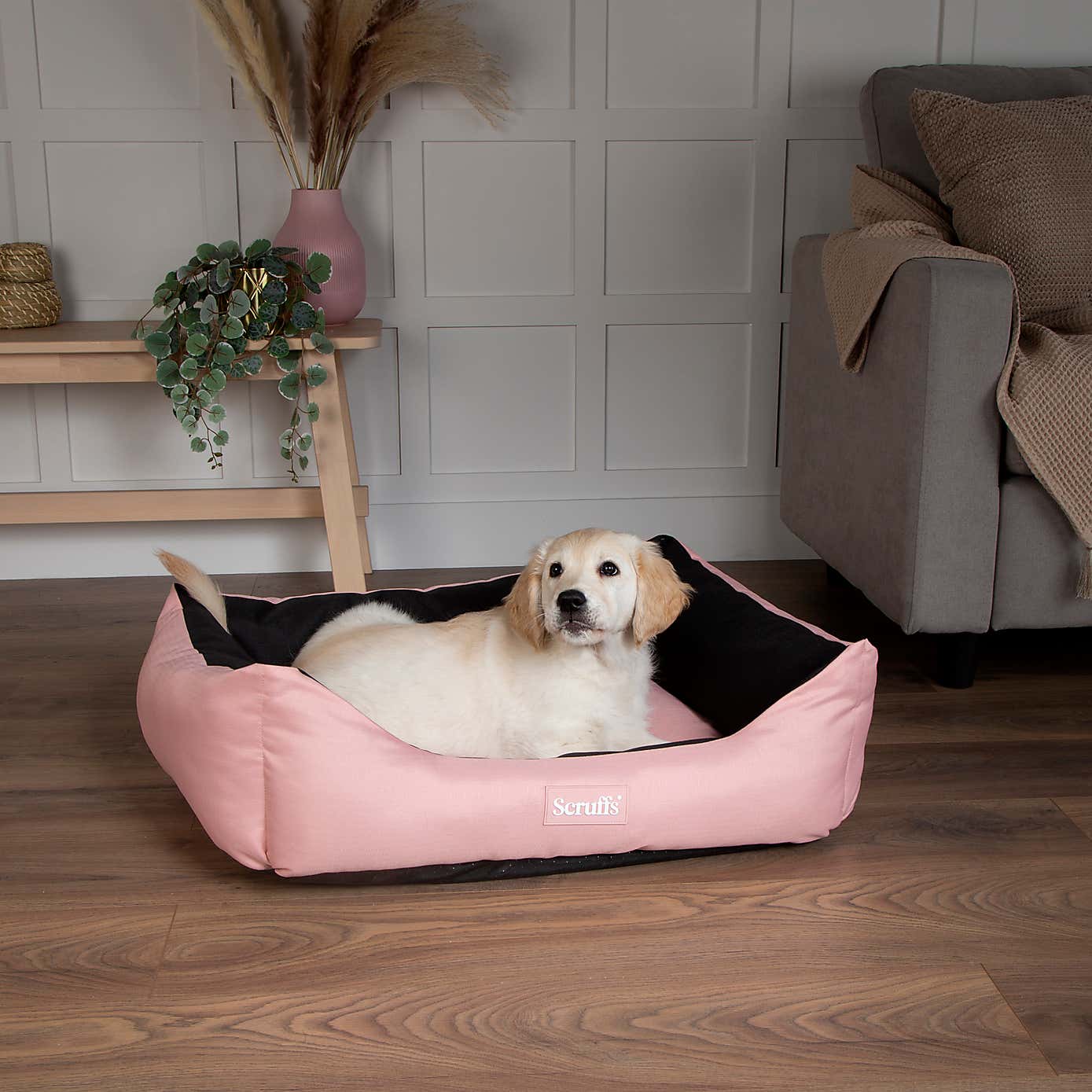 Scruffs Expedition Box Bed