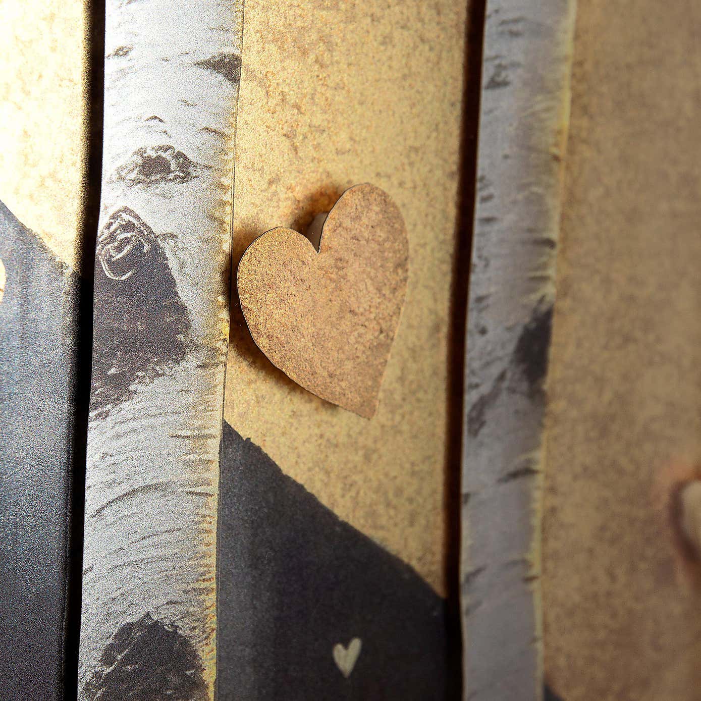 Cedar & Sage Heartwood Framed Print