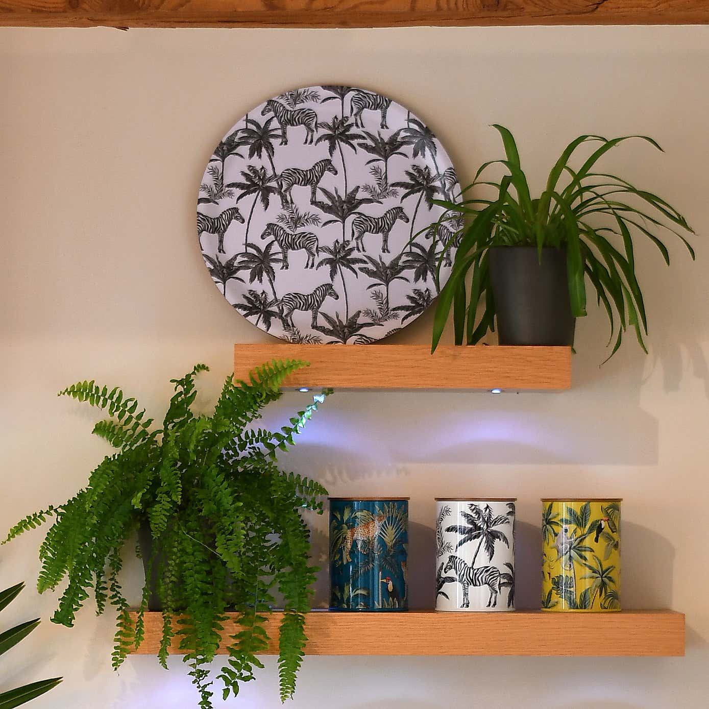 Madagascar Zebra Large Tray