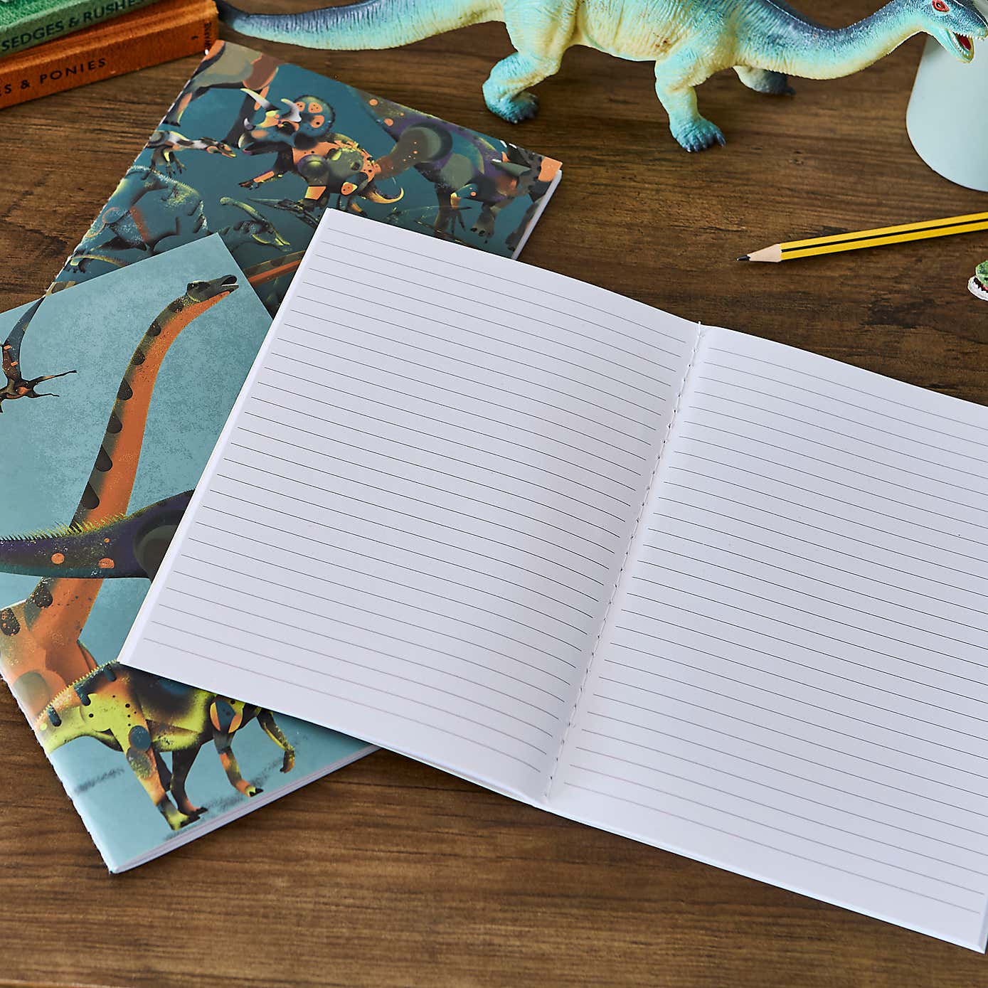 Set of 3 Age of Dinosaurs Softcover Notebooks