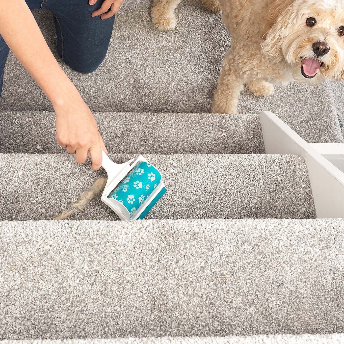 Beldray Pet Plus Paw Gel Roller
