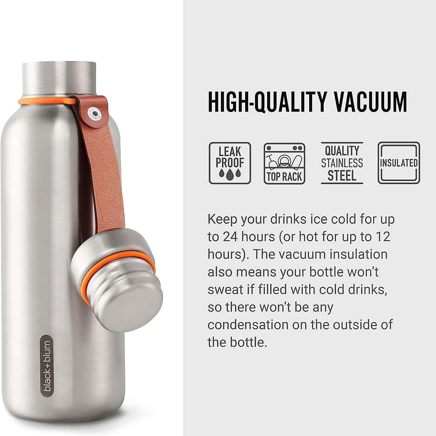 Black and Blum Insulated Water Bottle