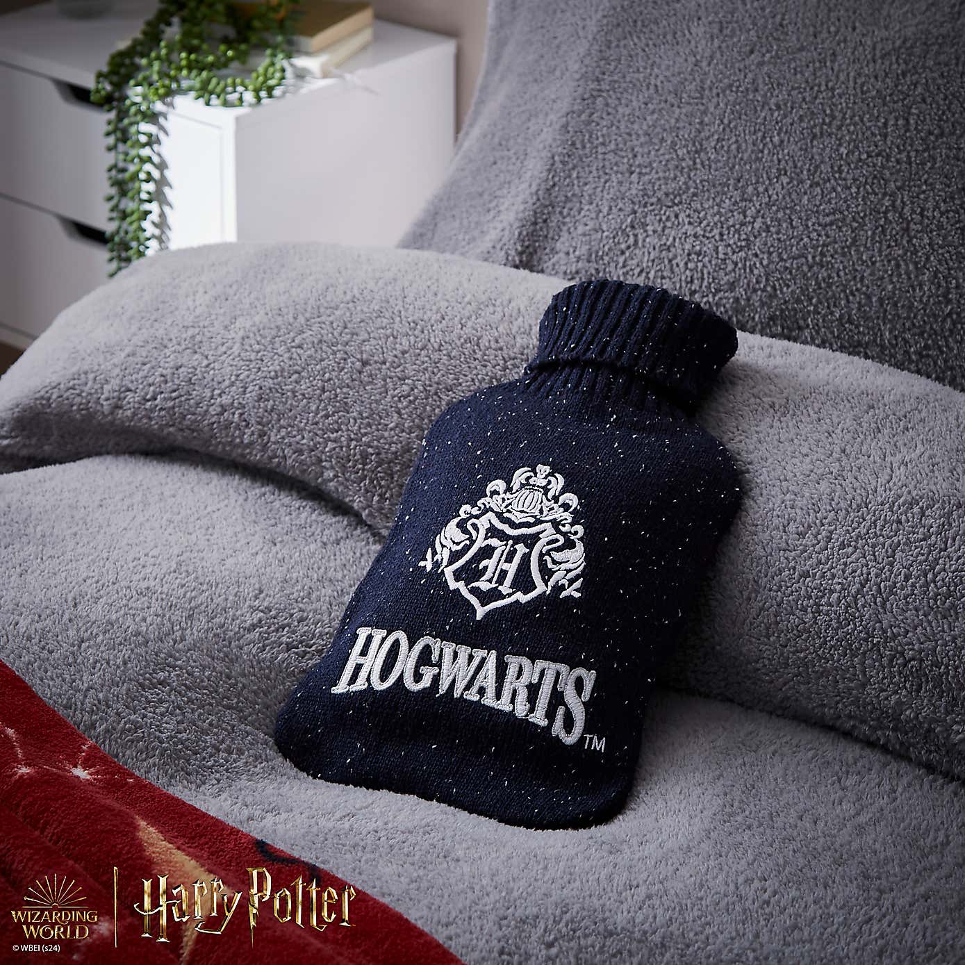 Harry Potter Academic Hot Water Bottle