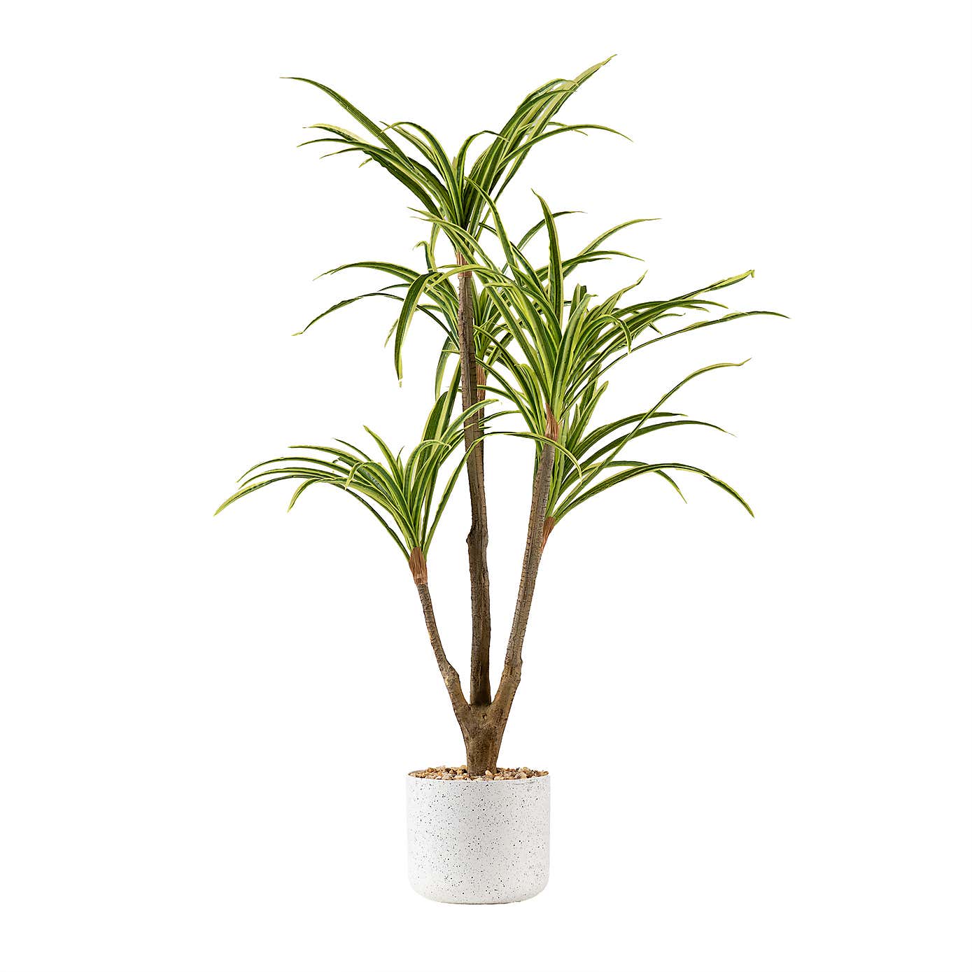 Artificial Real Touch Yucca Tree in White Speckled Plant Pot