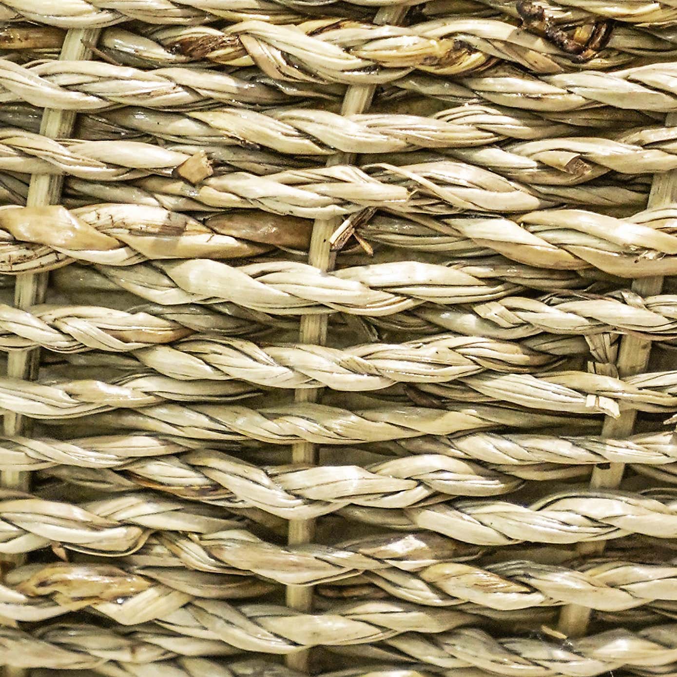 Set of 2 Seagrass Plant Pots