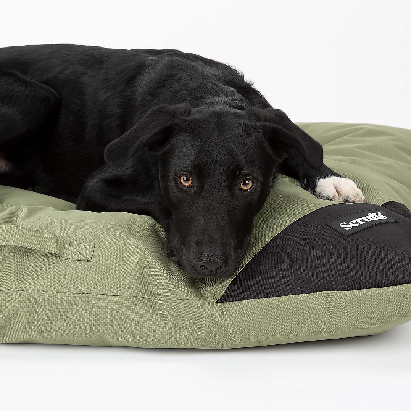 Scruffs Waterproof Expedition Memory Foam Dog Pillow