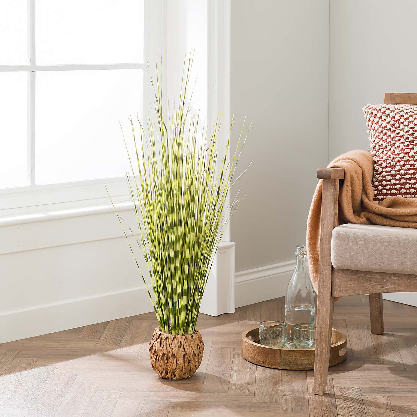 Zebra Grass in Woven Pot