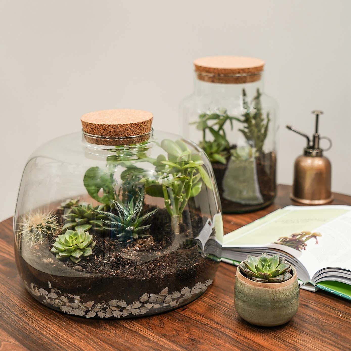 Bowl Shape Large Terrarium DIY Kit