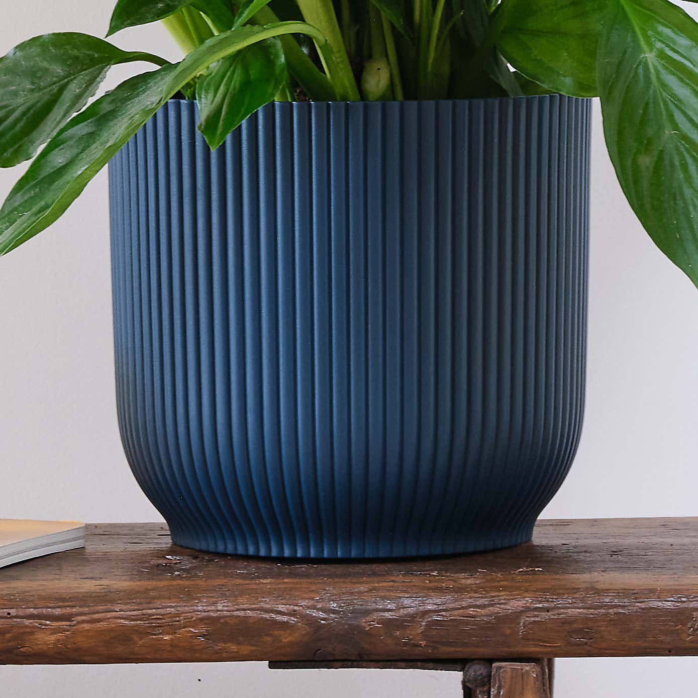 Peace Lily House Plant in Elho Pot