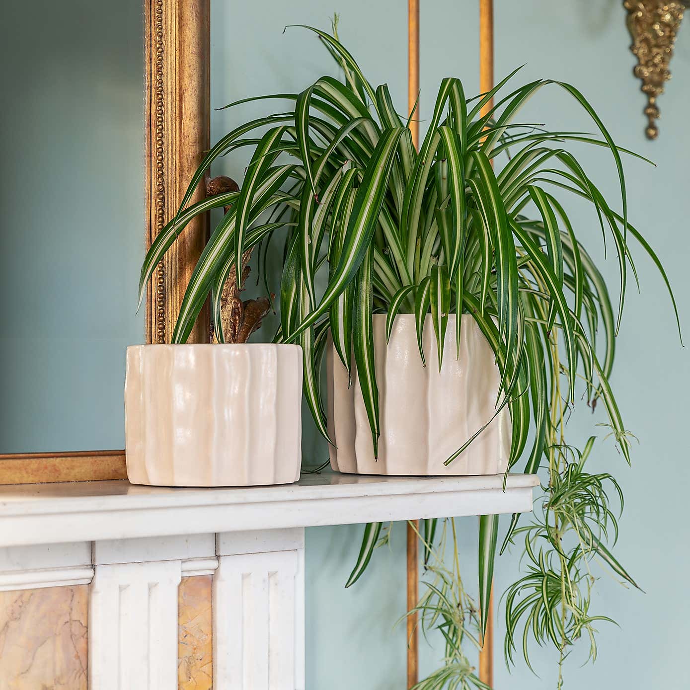 Kew Organic Ripple Bone Planter