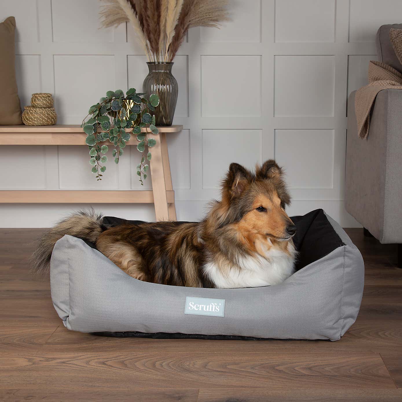 Scruffs Expedition Box Bed