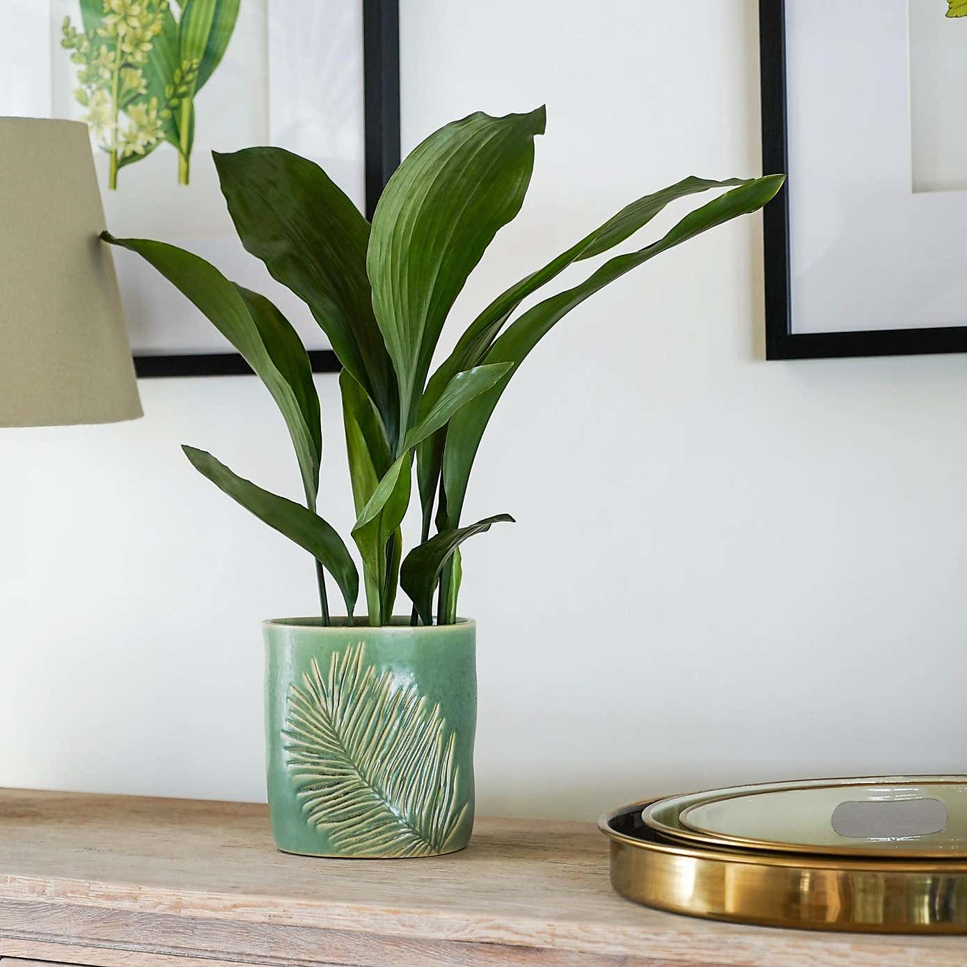 Kew Stoneware Sago Palm Planter