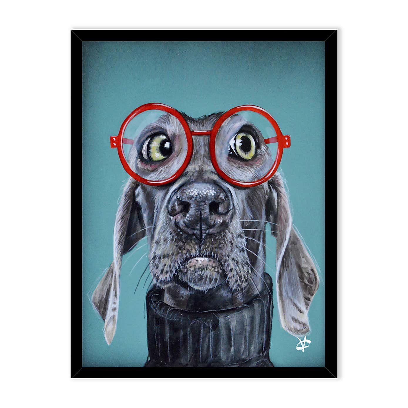 Vincent the Weimaraner Framed Print