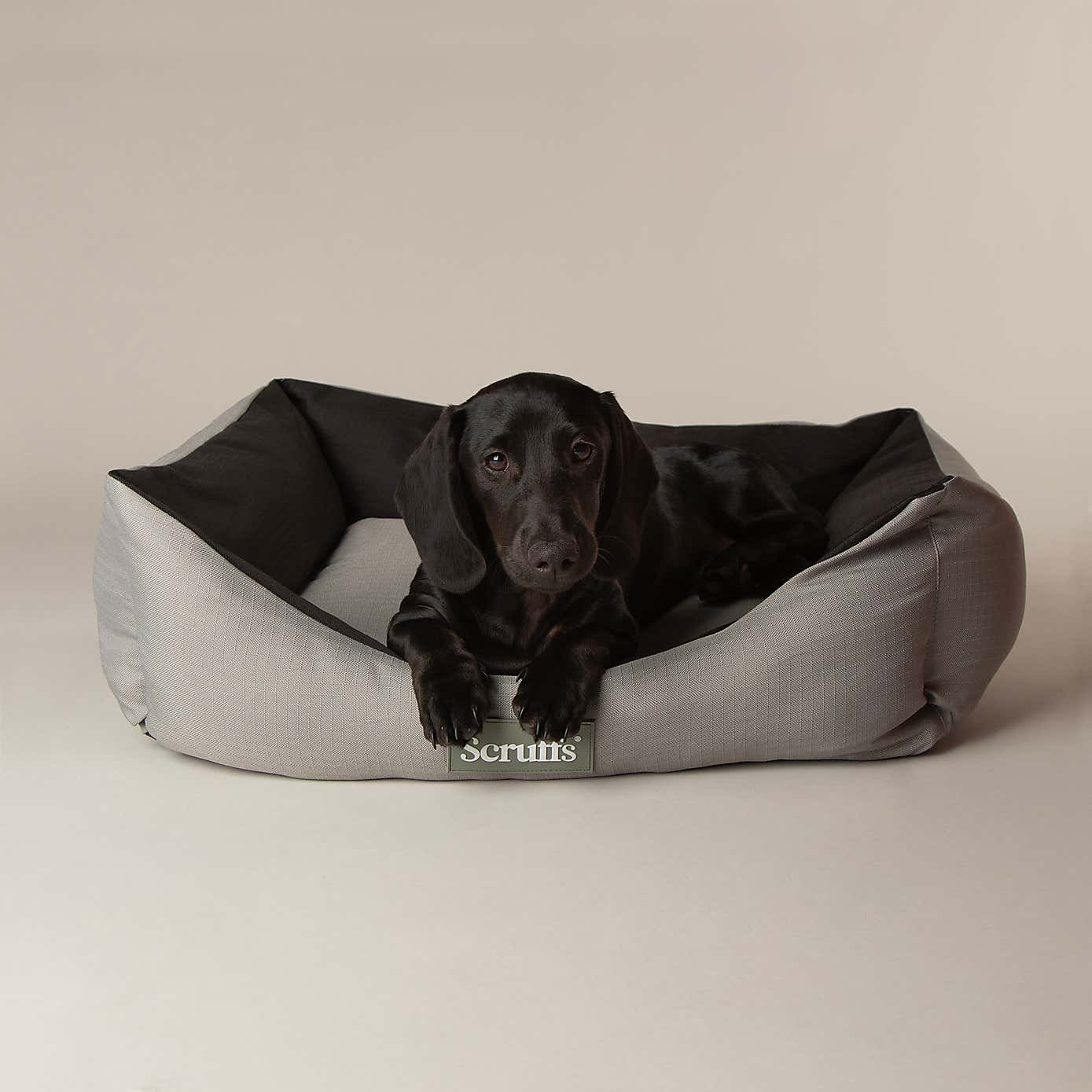 Scruffs Expedition Box Bed