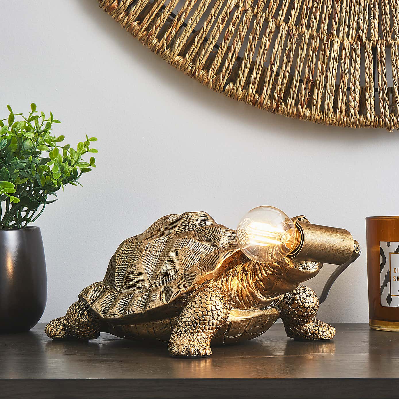 Tafari Tortoise Table Lamp