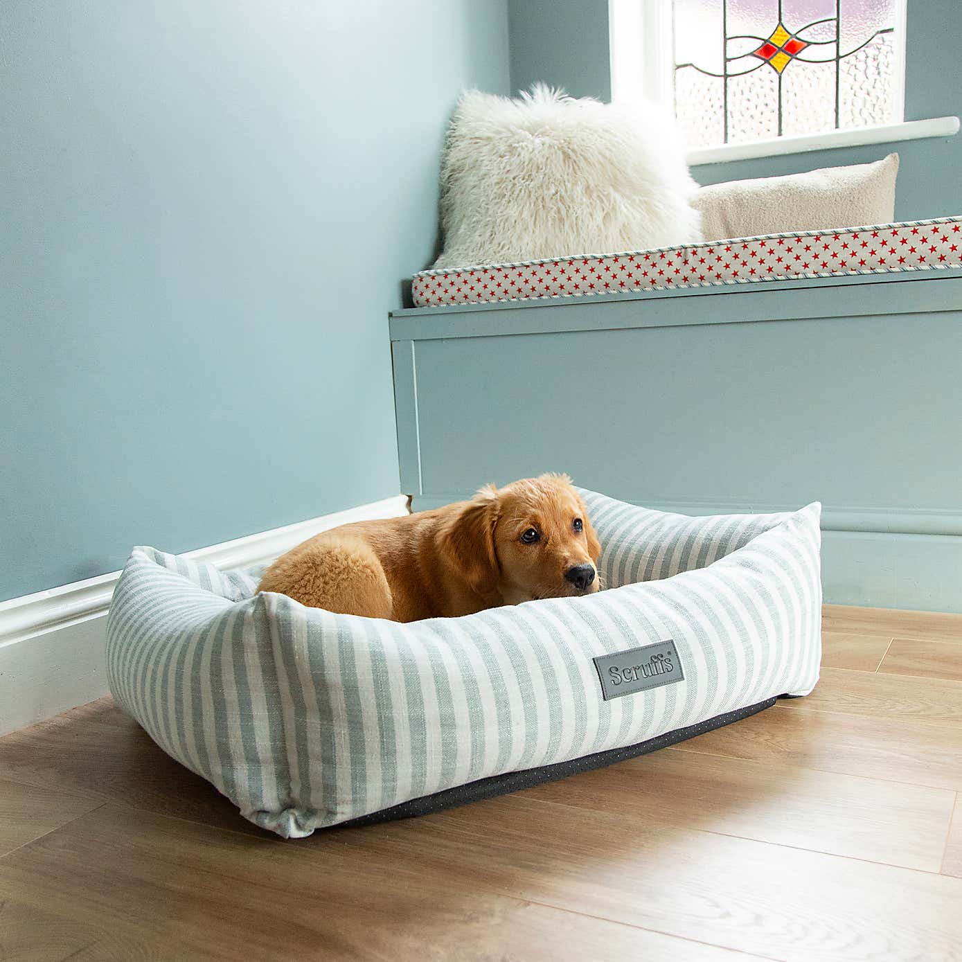 Scruffs Luxury Coast Dog Box Bed