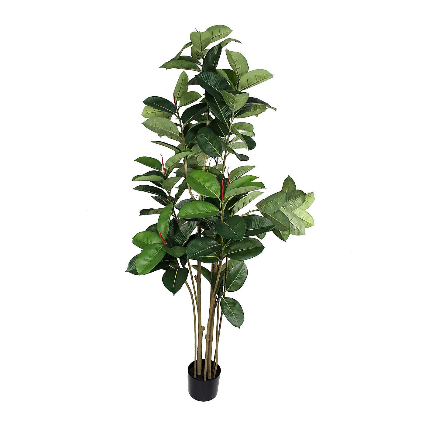 Artificial Rubber Tree in Black Plant Pot