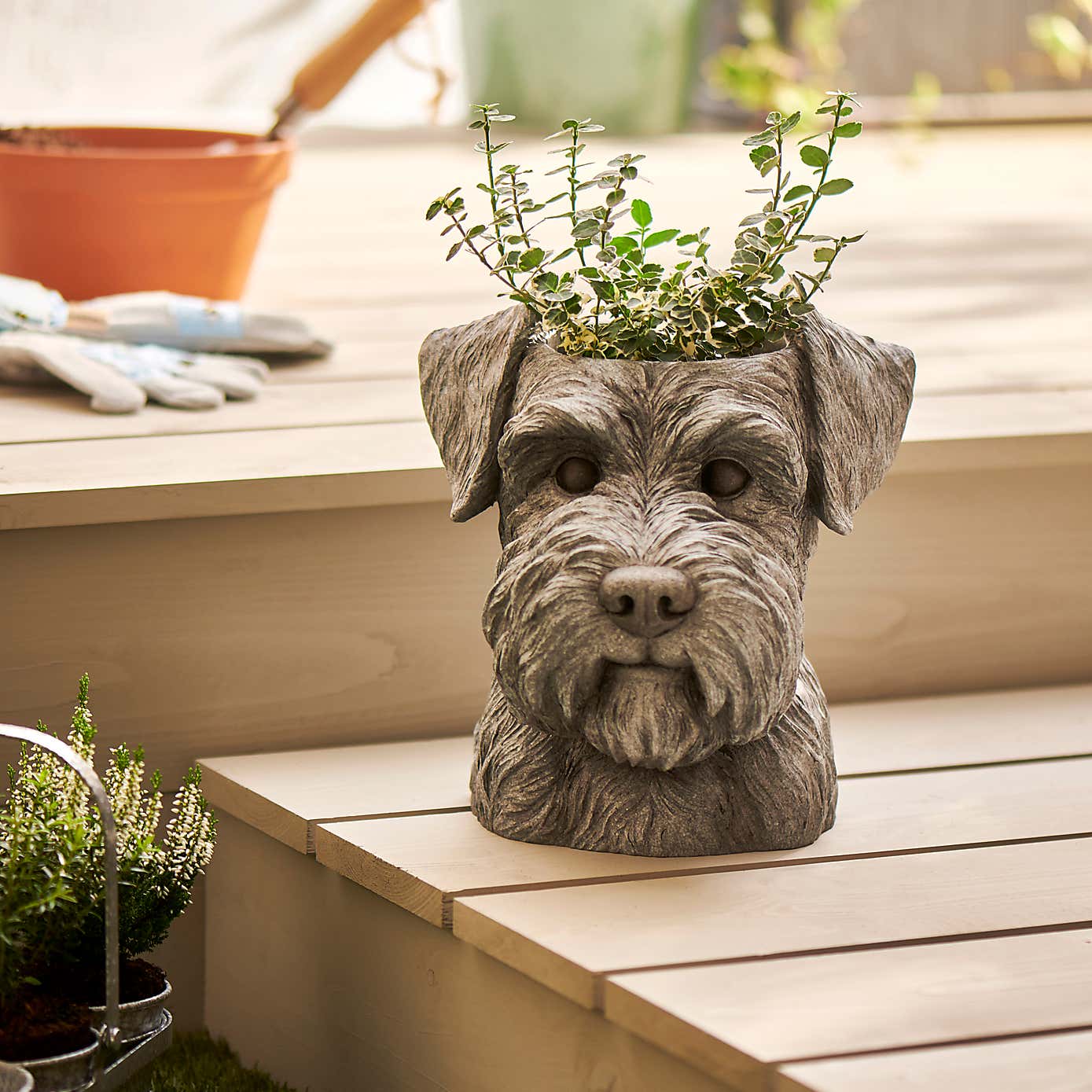 Schnauzer Head Planter