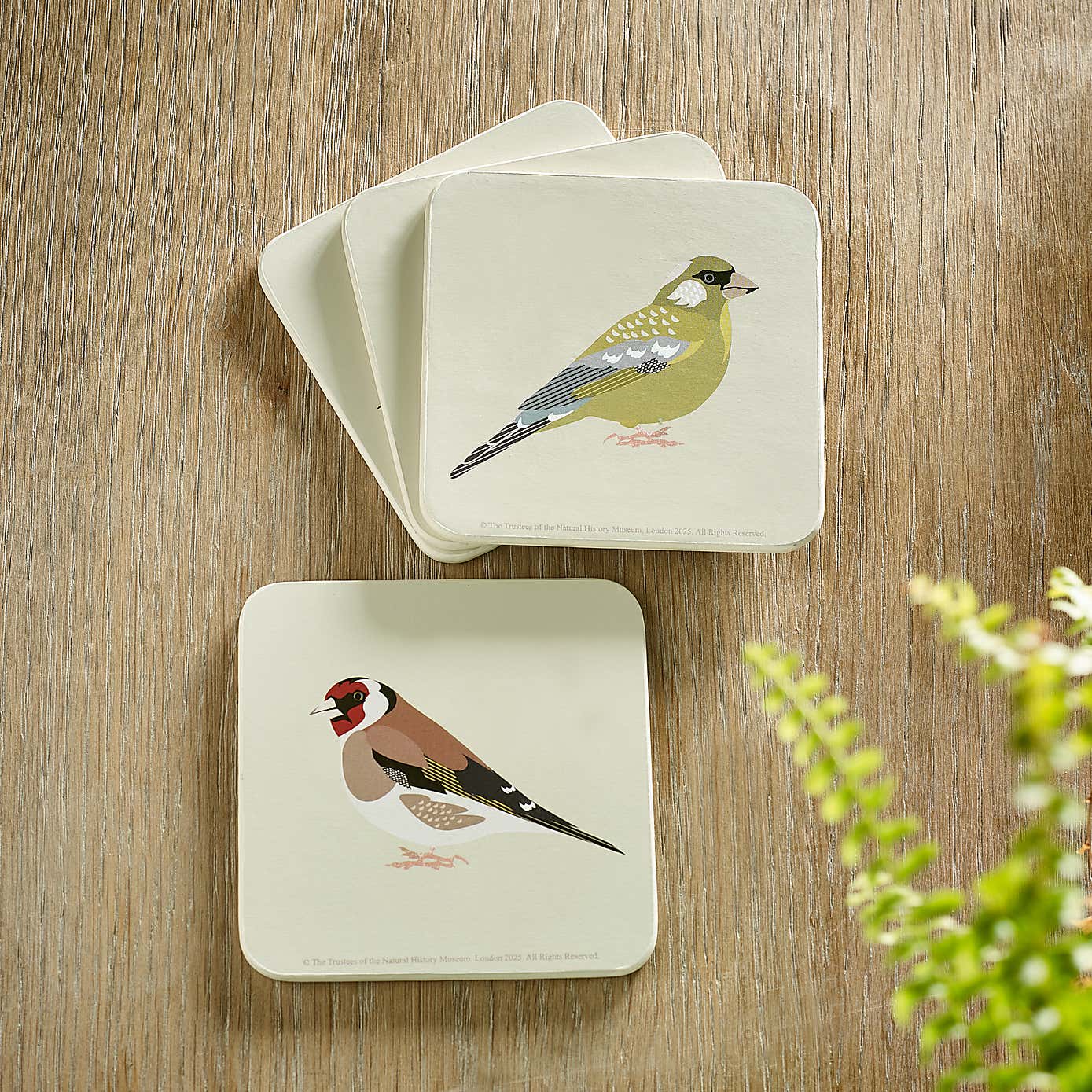 Set of 4 Birds Coasters